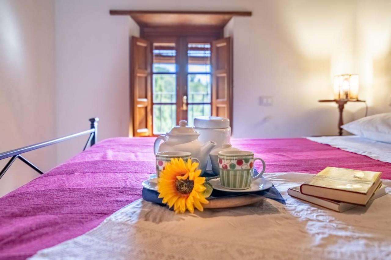 Al Giardino Degli Ulivi Guest House Santa Maria Albiano Eksteriør bilde