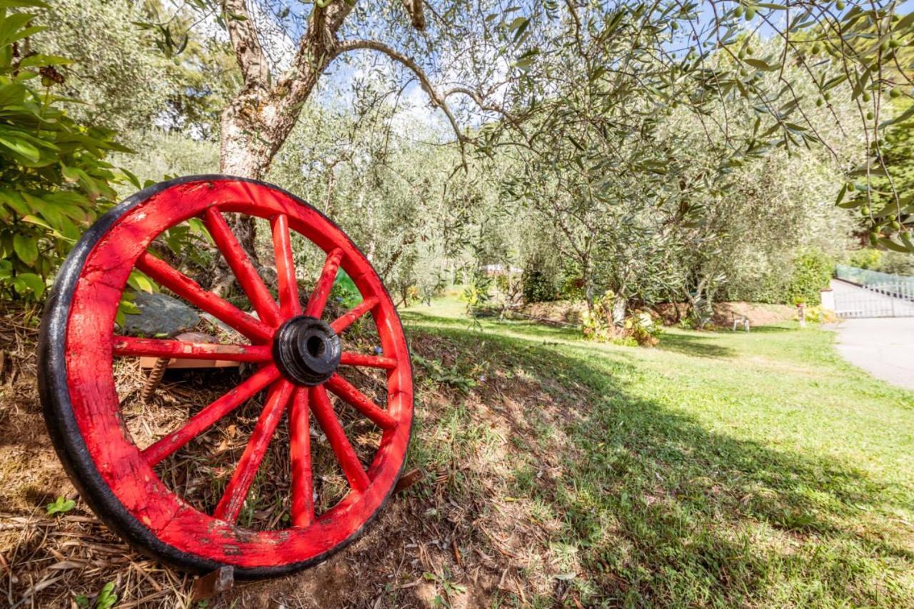 Al Giardino Degli Ulivi Guest House Santa Maria Albiano Eksteriør bilde
