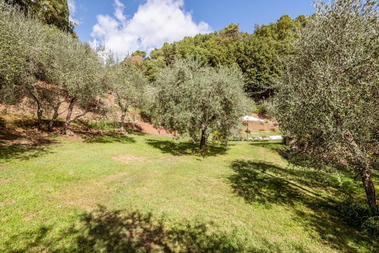 Al Giardino Degli Ulivi Guest House Santa Maria Albiano Eksteriør bilde