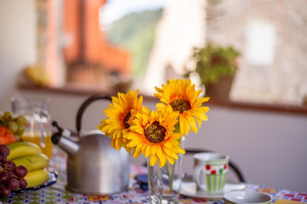 Al Giardino Degli Ulivi Guest House Santa Maria Albiano Eksteriør bilde