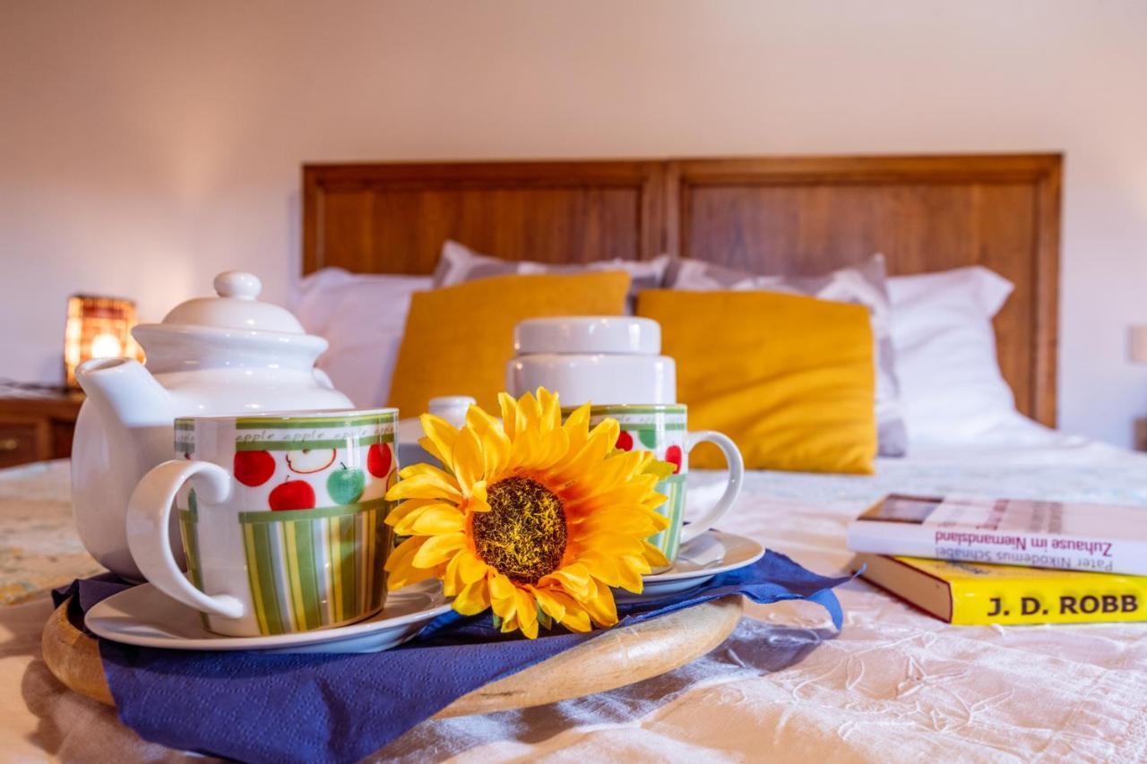 Al Giardino Degli Ulivi Guest House Santa Maria Albiano Eksteriør bilde